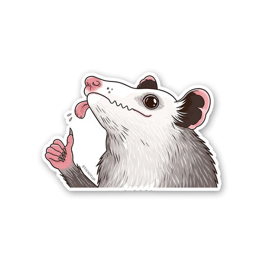 Cute Opossum Sticker