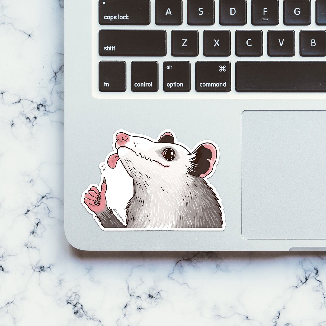 Cute Opossum Sticker