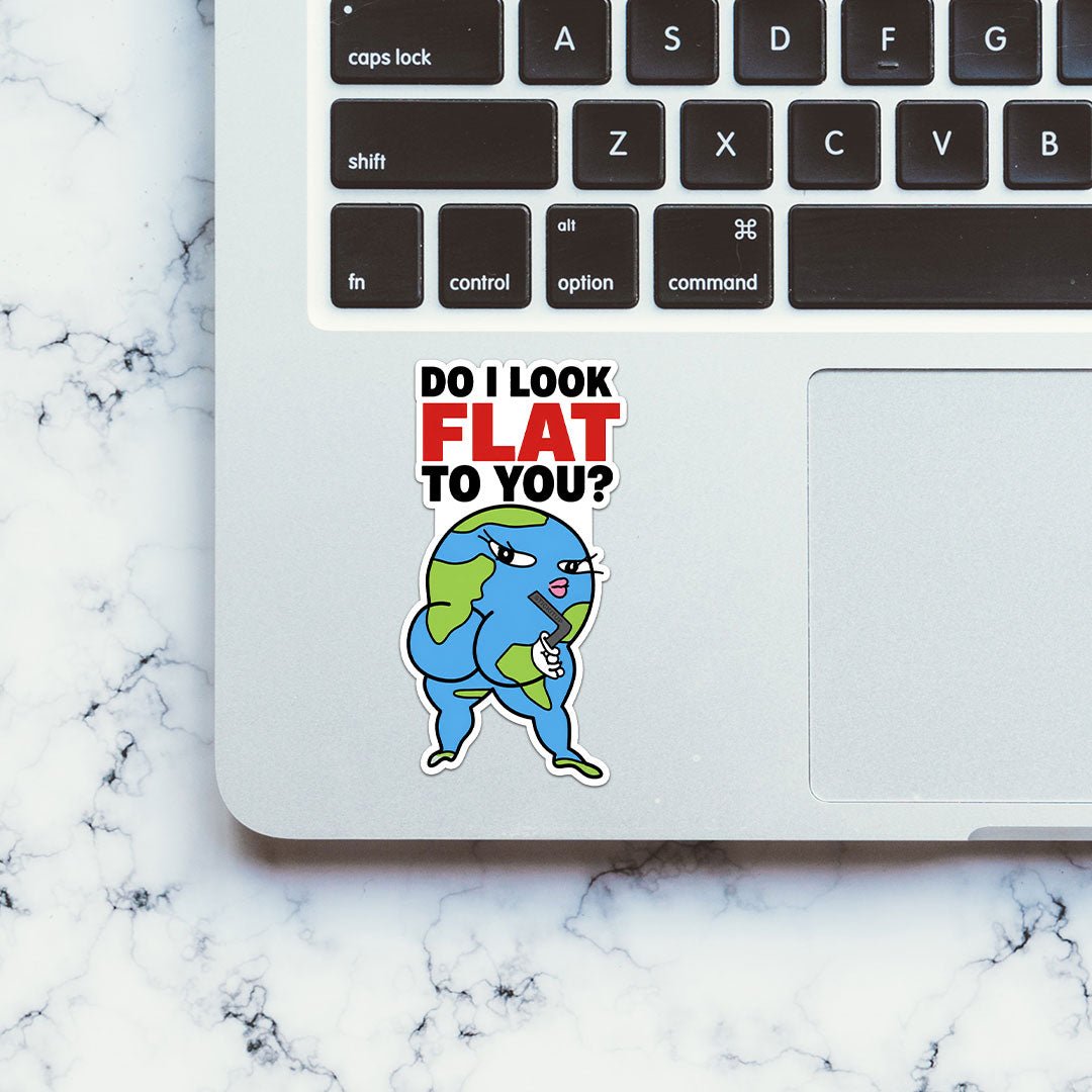 Do I Look Flat to You Sticker