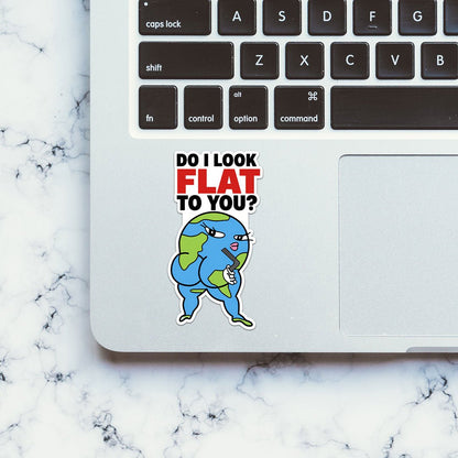 Do I Look Flat to You Sticker