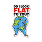 Do I Look Flat to You Sticker